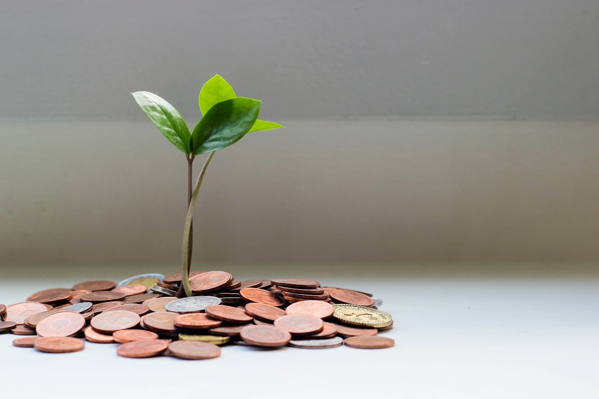 Kada verta refinansuoti NT paskolą? Ženklai, kad laikas keisti kreditorių